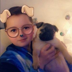 Meet your Posher, Chip